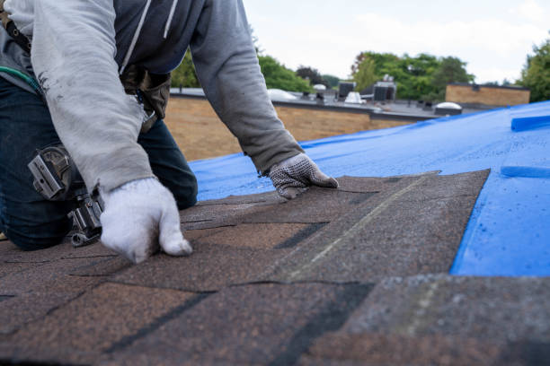 Best Commercial Roofing Services  in Aurora, MO