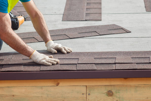 Best Sheet Metal Roofing  in Aurora, MO
